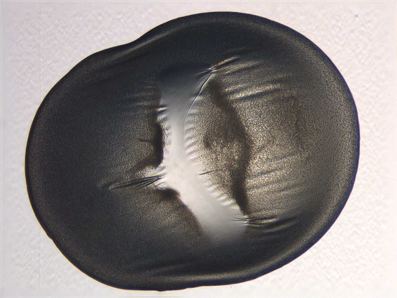0635_D11_ImagerDefaults_3.jpg