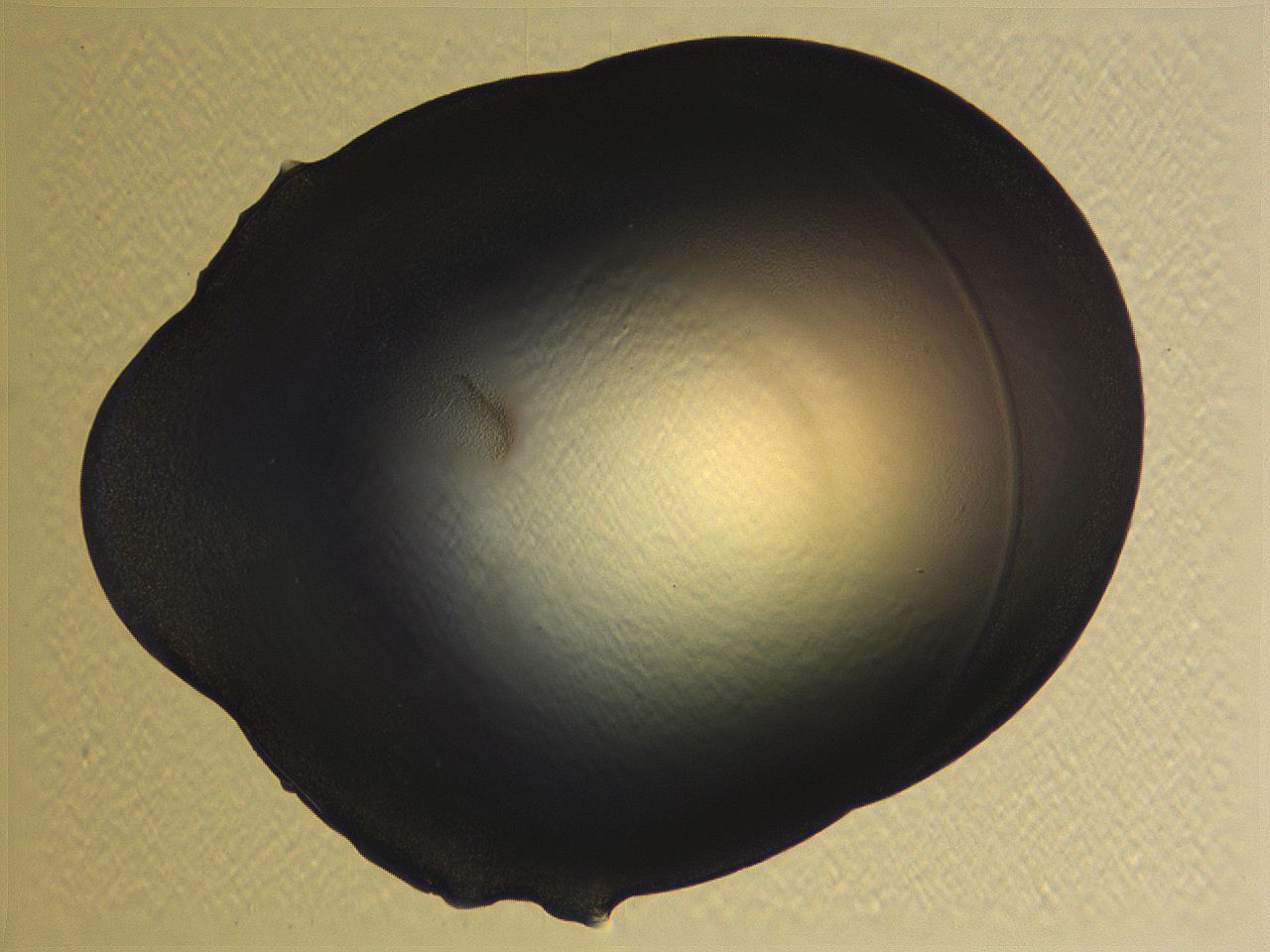 0635_D12_ImagerDefaults_0.jpg