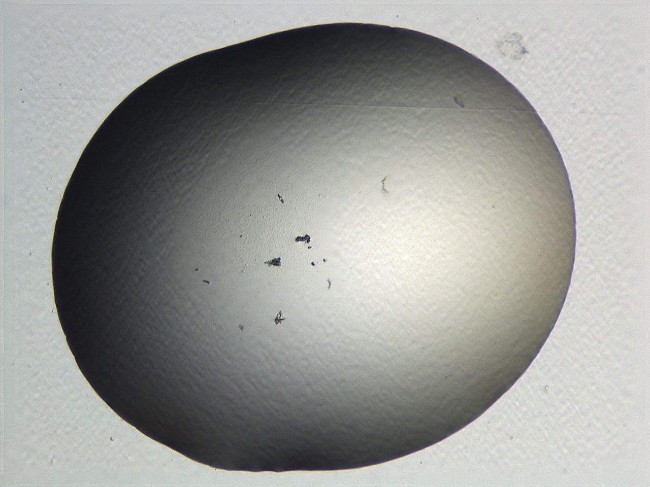 0635_E2_ImagerDefaults_0.jpg