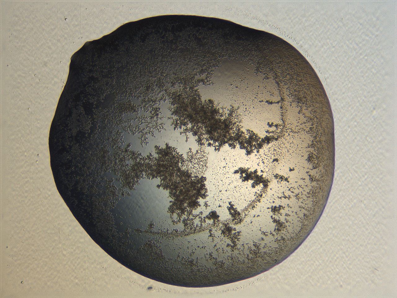 0635_B12_ImagerDefaults_3.jpg