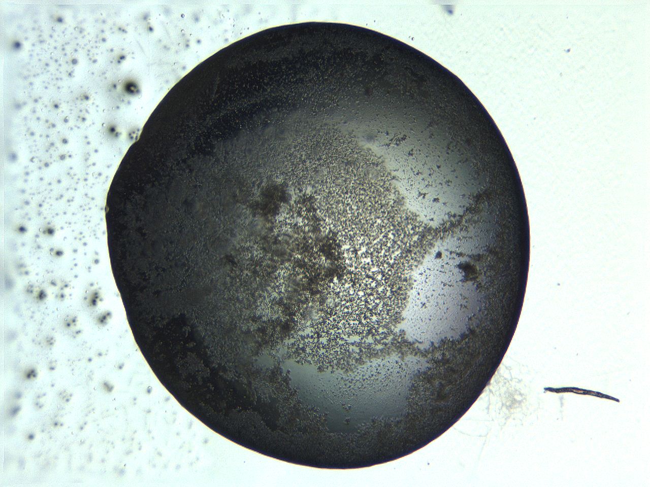 0635_B11_ImagerDefaults_3.jpg