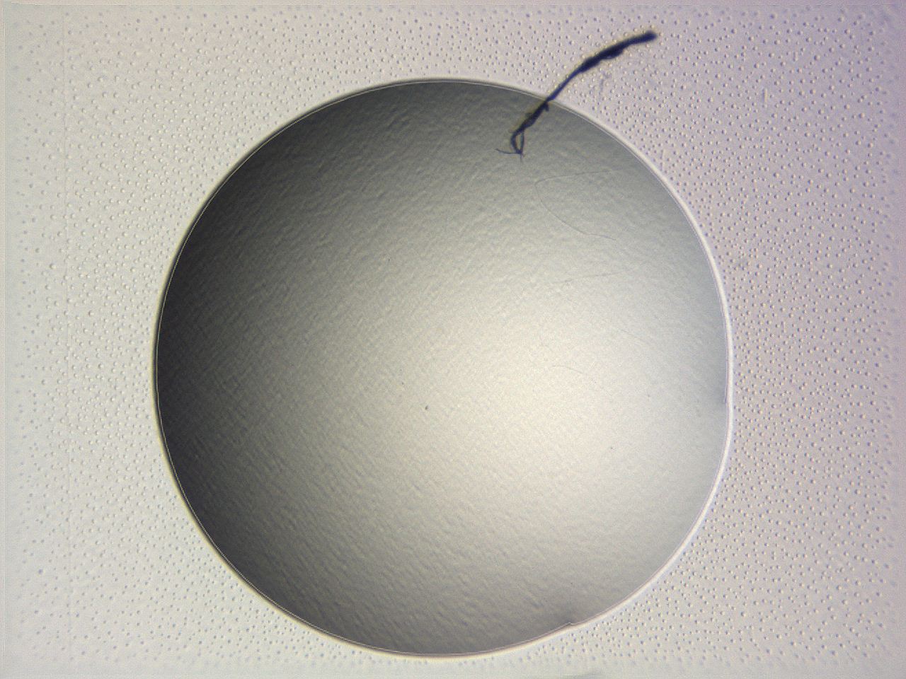 0635_B10_ImagerDefaults_0.jpg