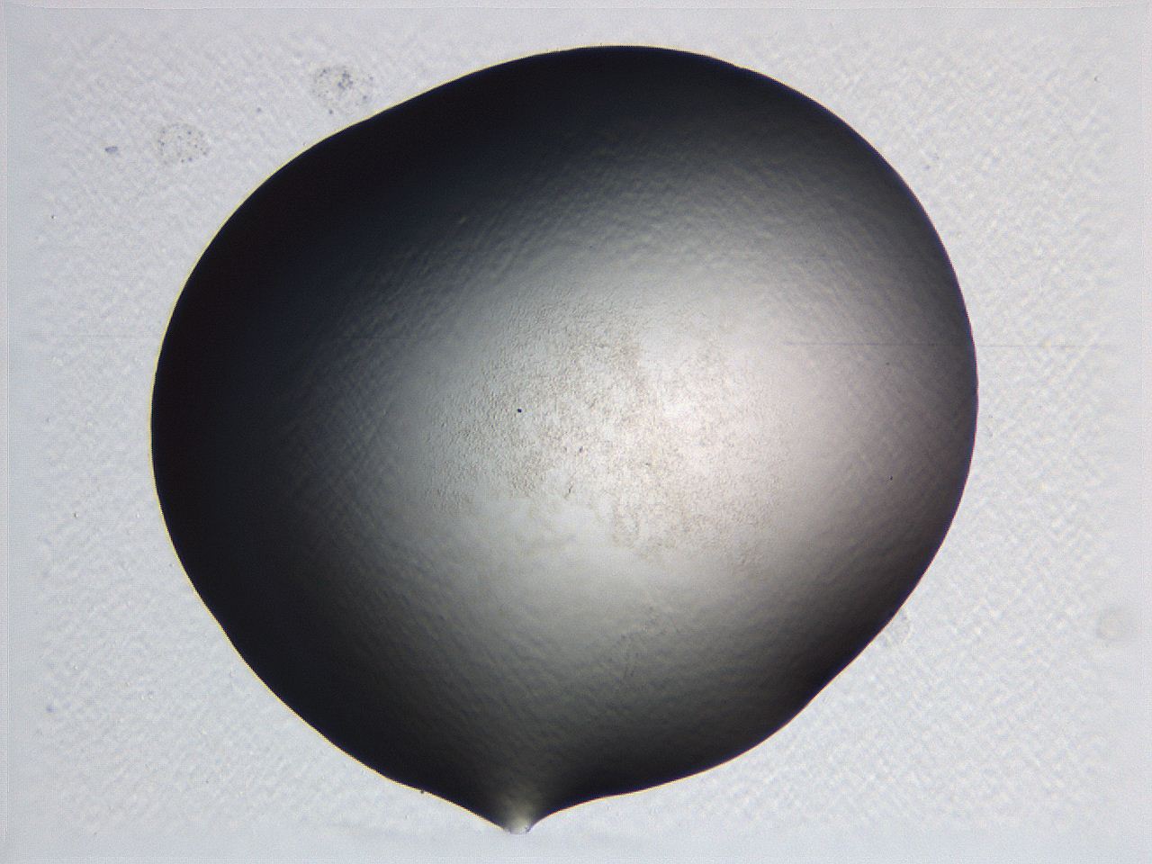 0635_E3_ImagerDefaults_0.jpg