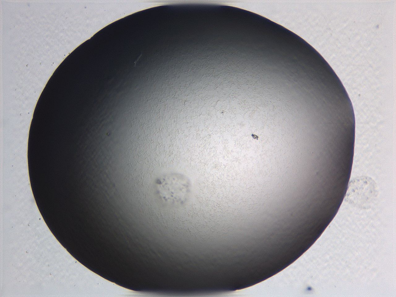 0635_E4_ImagerDefaults_0.jpg