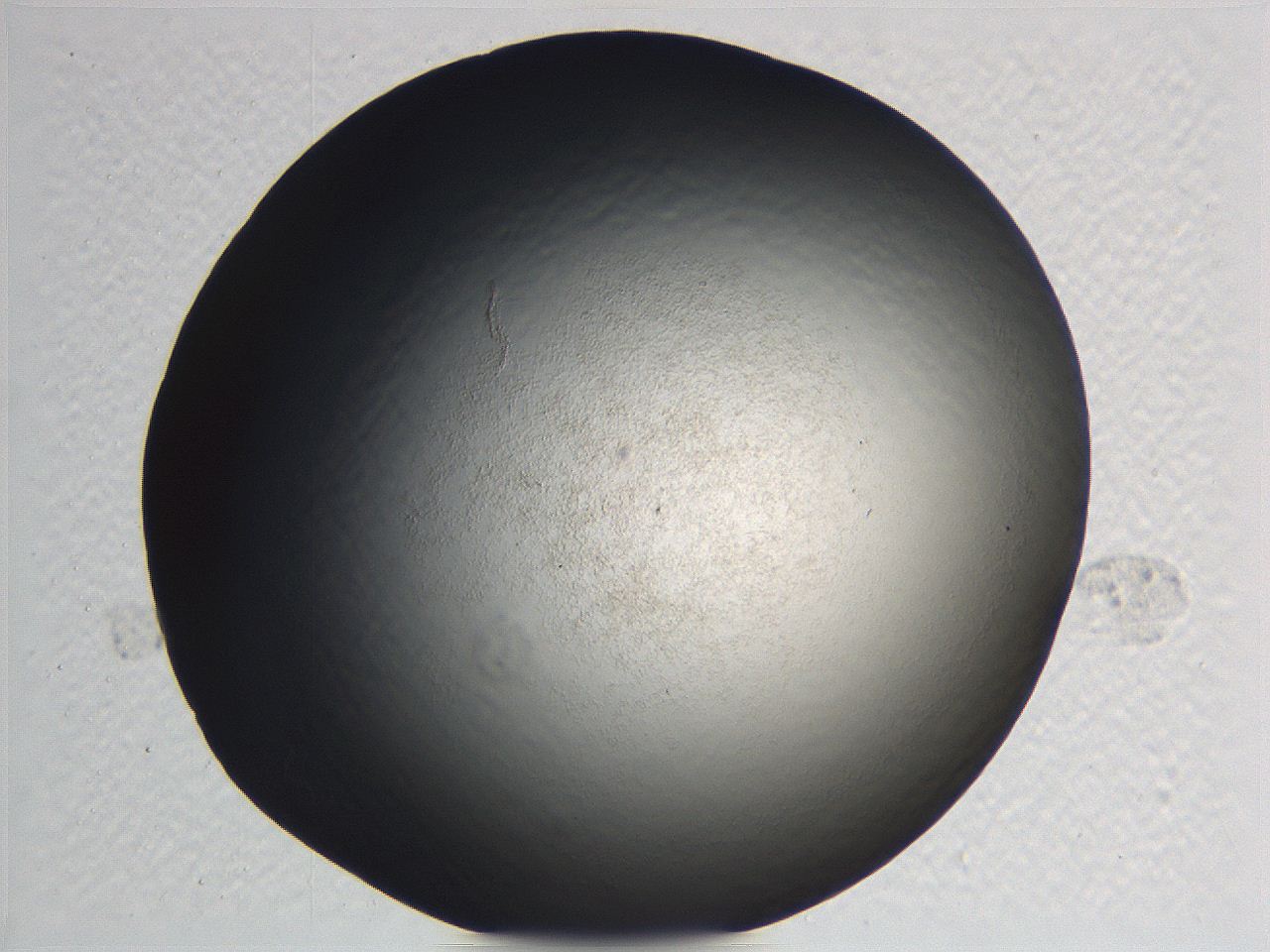 0635_E5_ImagerDefaults_0.jpg