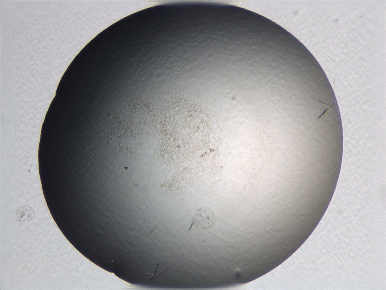 0635_E6_ImagerDefaults_0.jpg