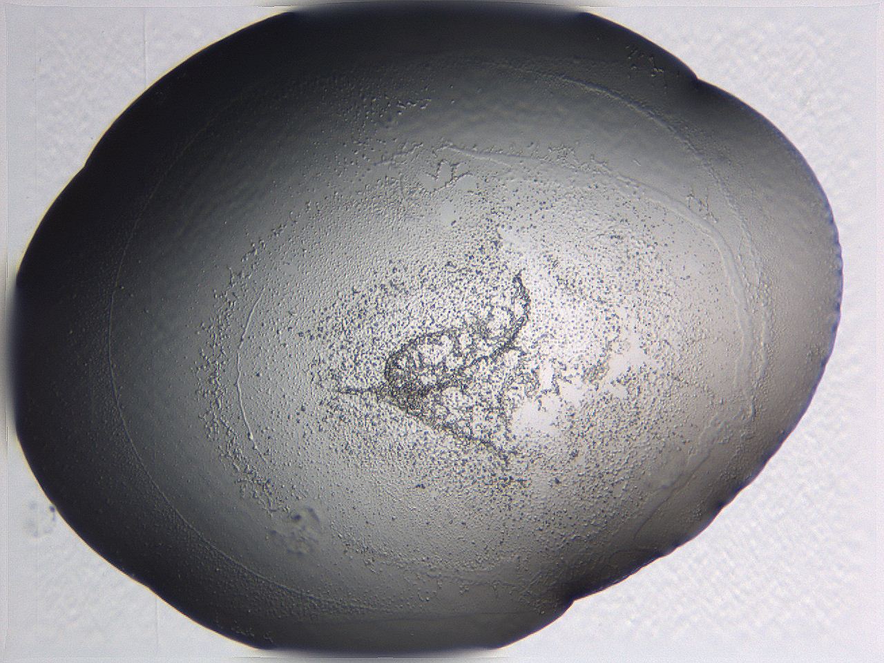 0635_E10_ImagerDefaults_3.jpg