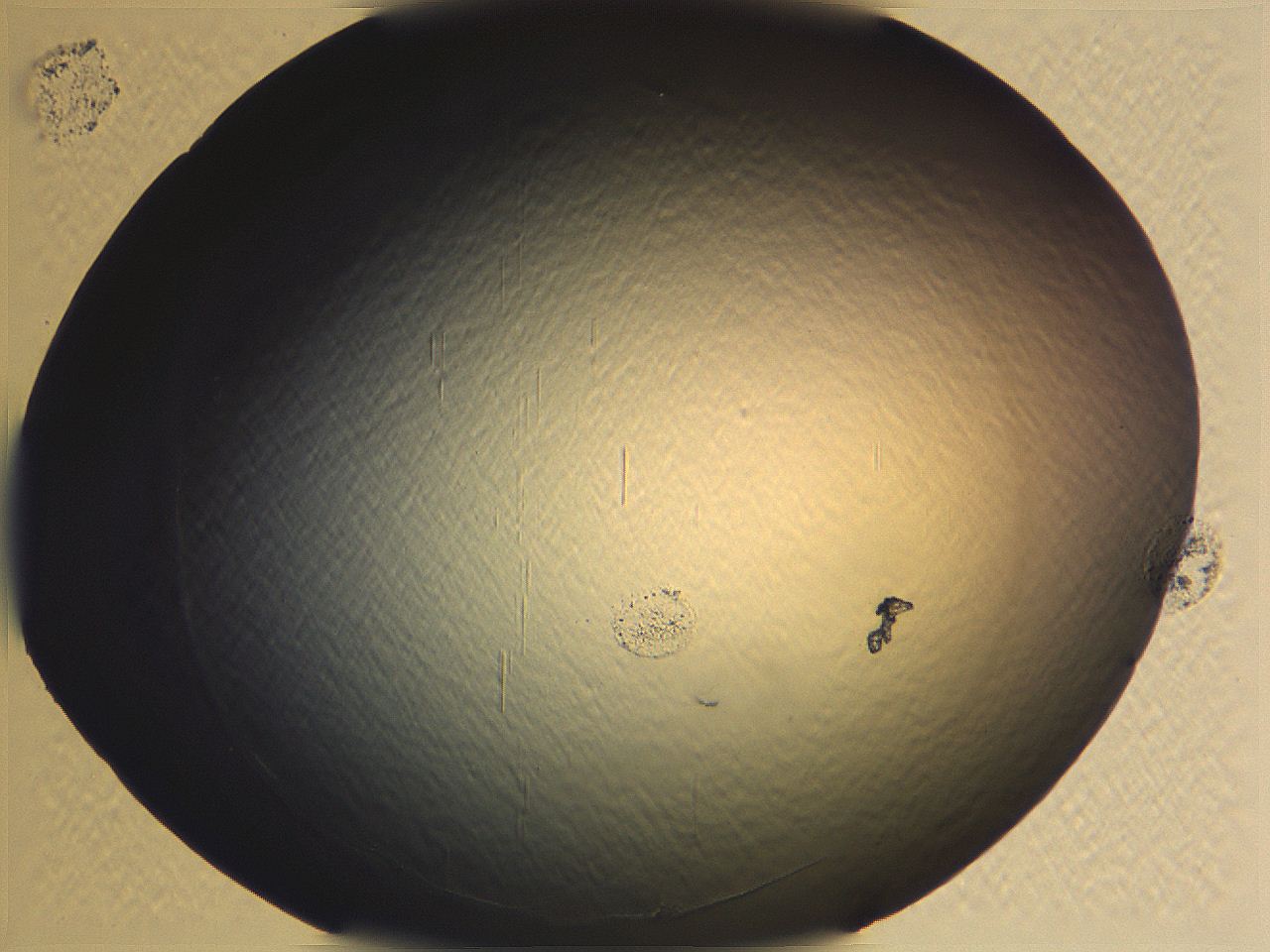 0635_E12_ImagerDefaults_0.jpg