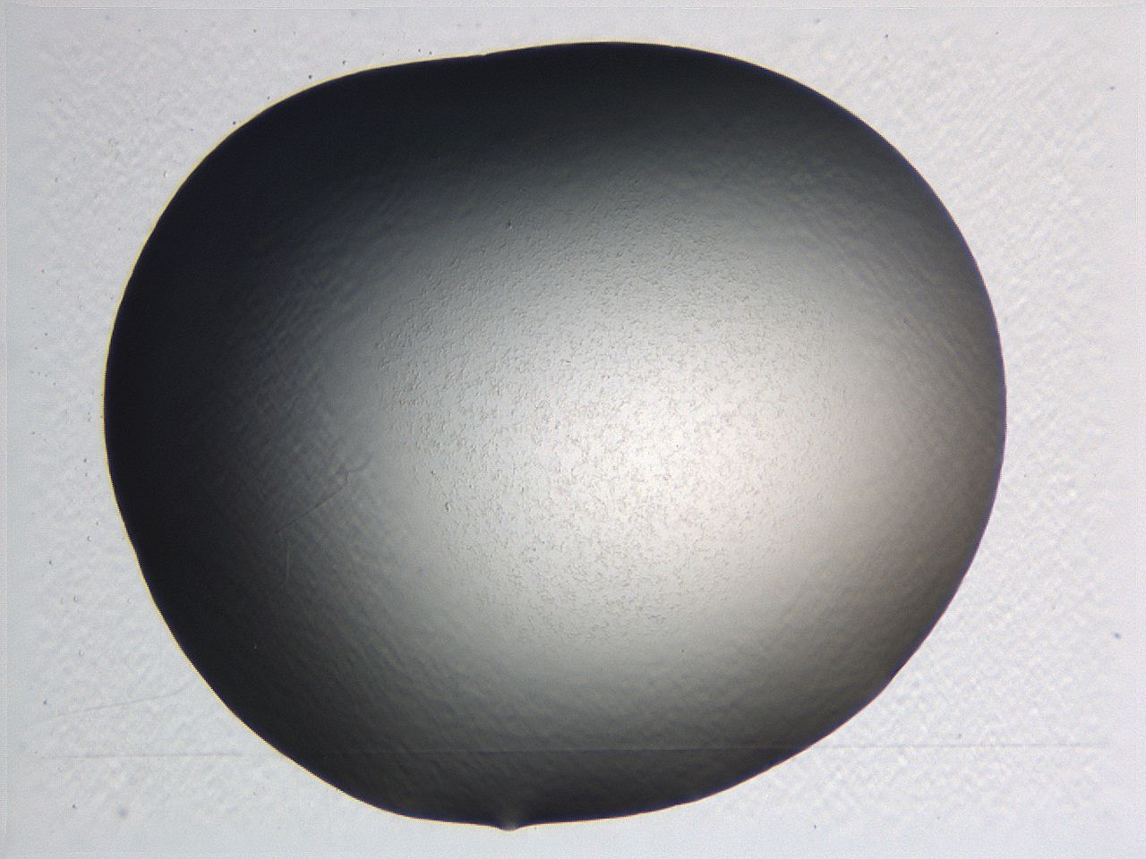 0635_F4_ImagerDefaults_0.jpg