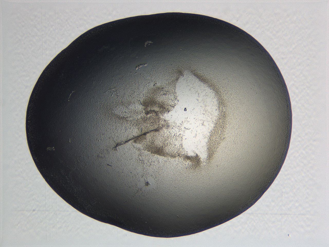 0635_F6_ImagerDefaults_3.jpg