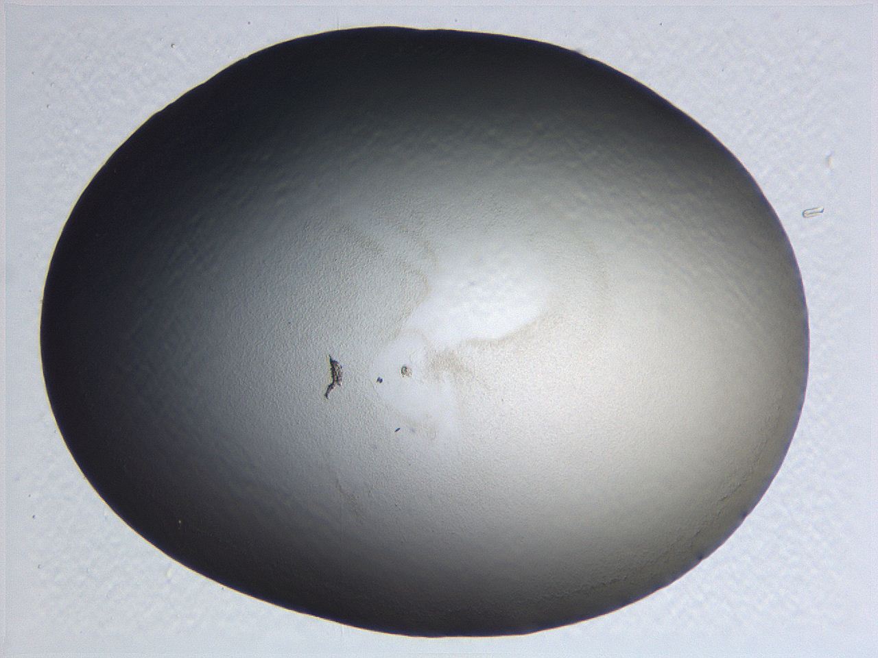 0635_F8_ImagerDefaults_3.jpg
