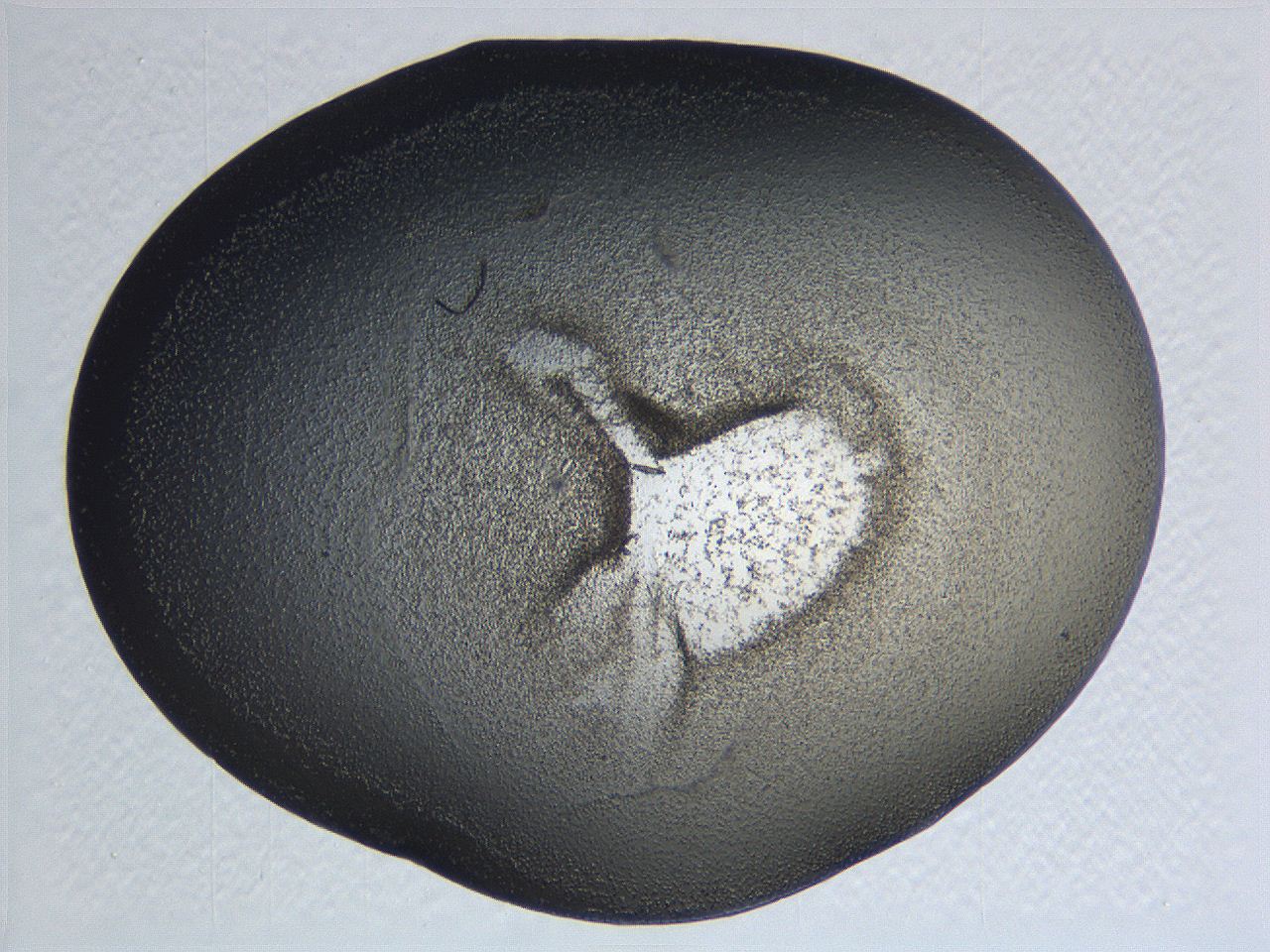 0635_F9_ImagerDefaults_3.jpg
