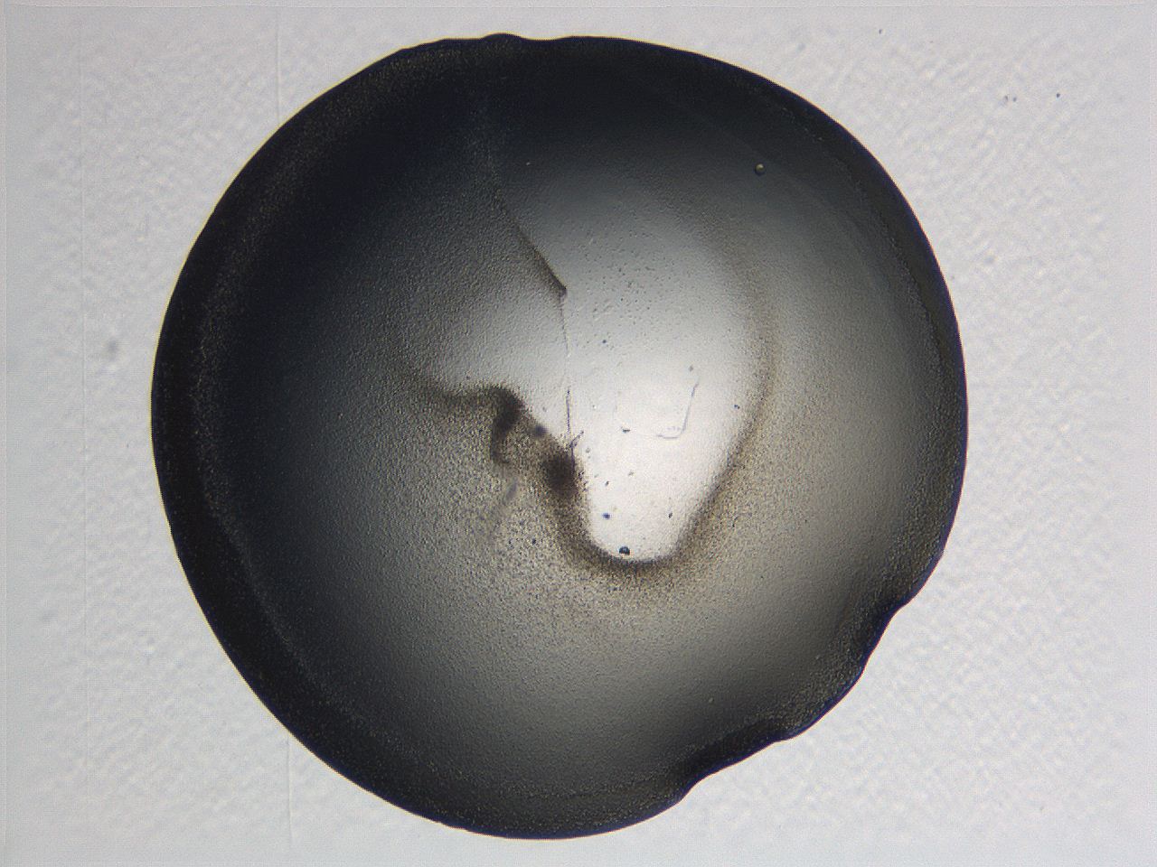 0635_F10_ImagerDefaults_3.jpg