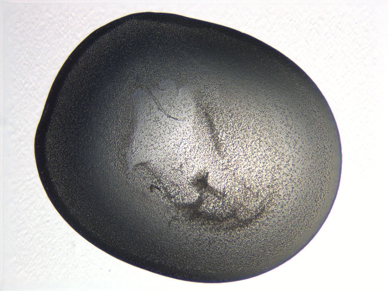 0635_F11_ImagerDefaults_3.jpg