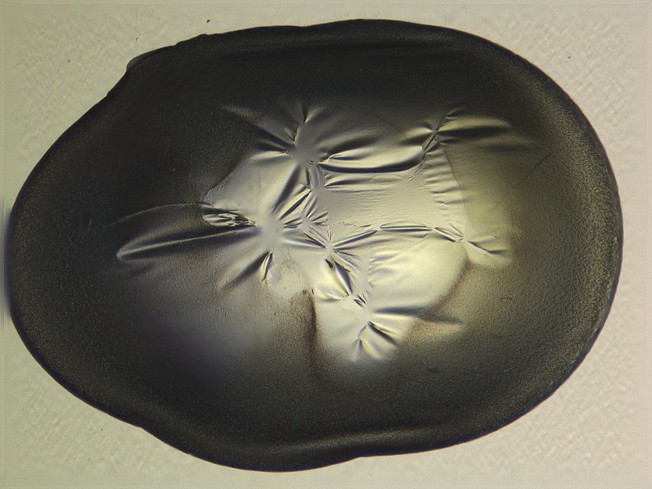 0635_F12_ImagerDefaults_3.jpg