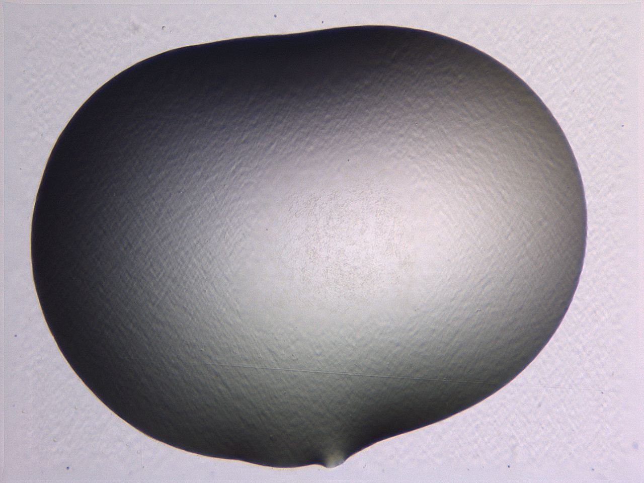0635_G1_ImagerDefaults_0.jpg
