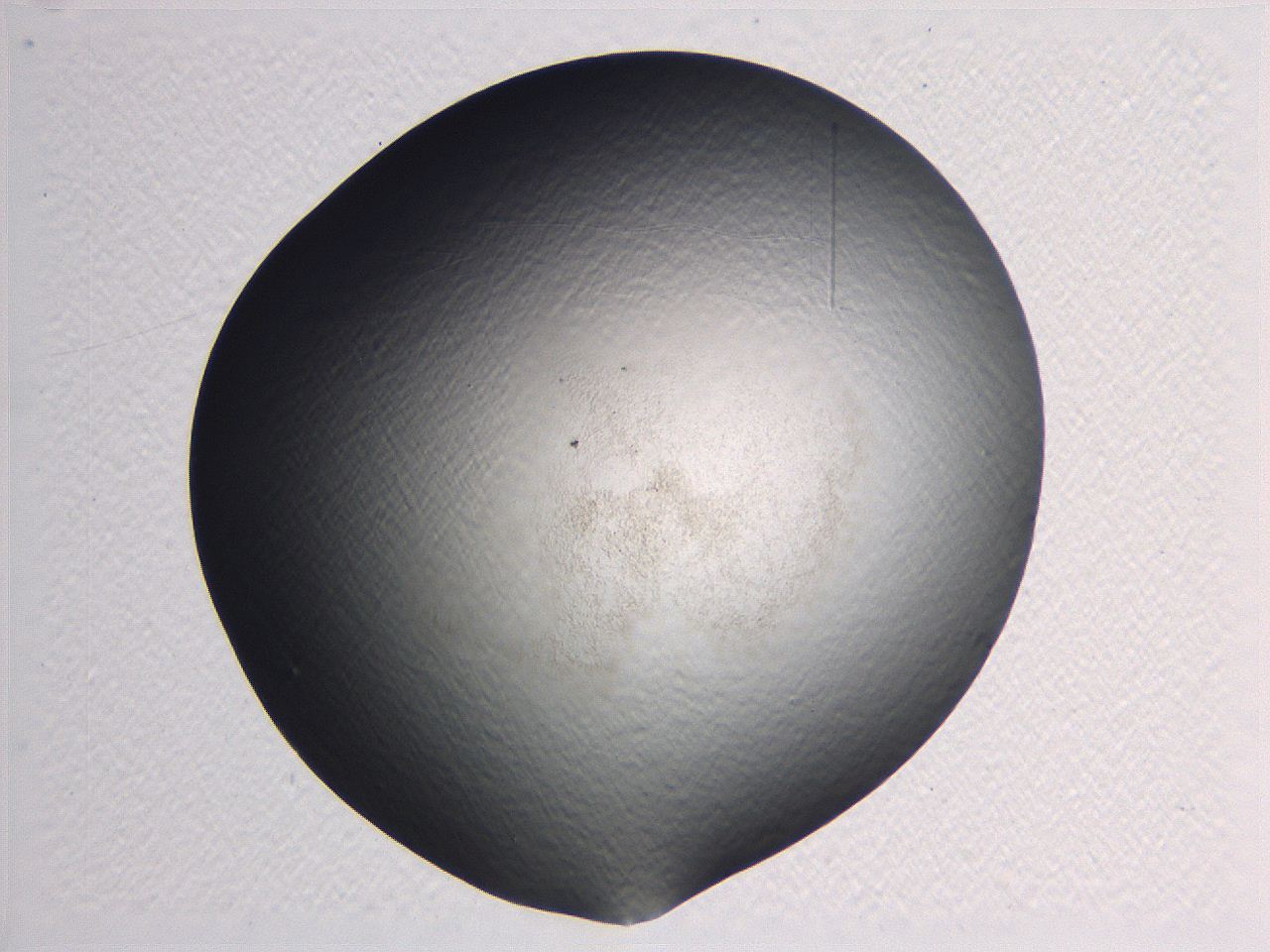 0635_G2_ImagerDefaults_0.jpg