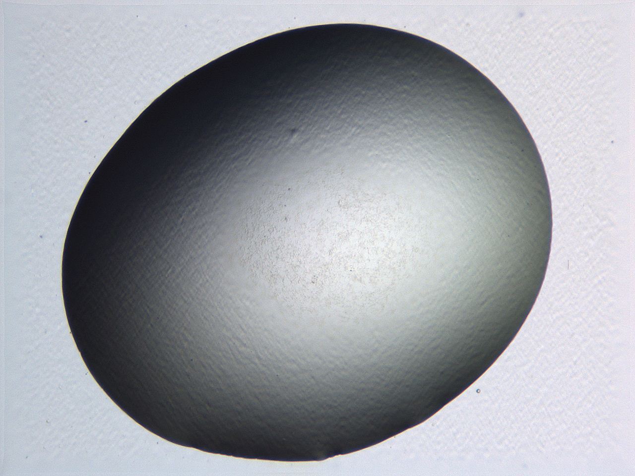 0635_G3_ImagerDefaults_0.jpg