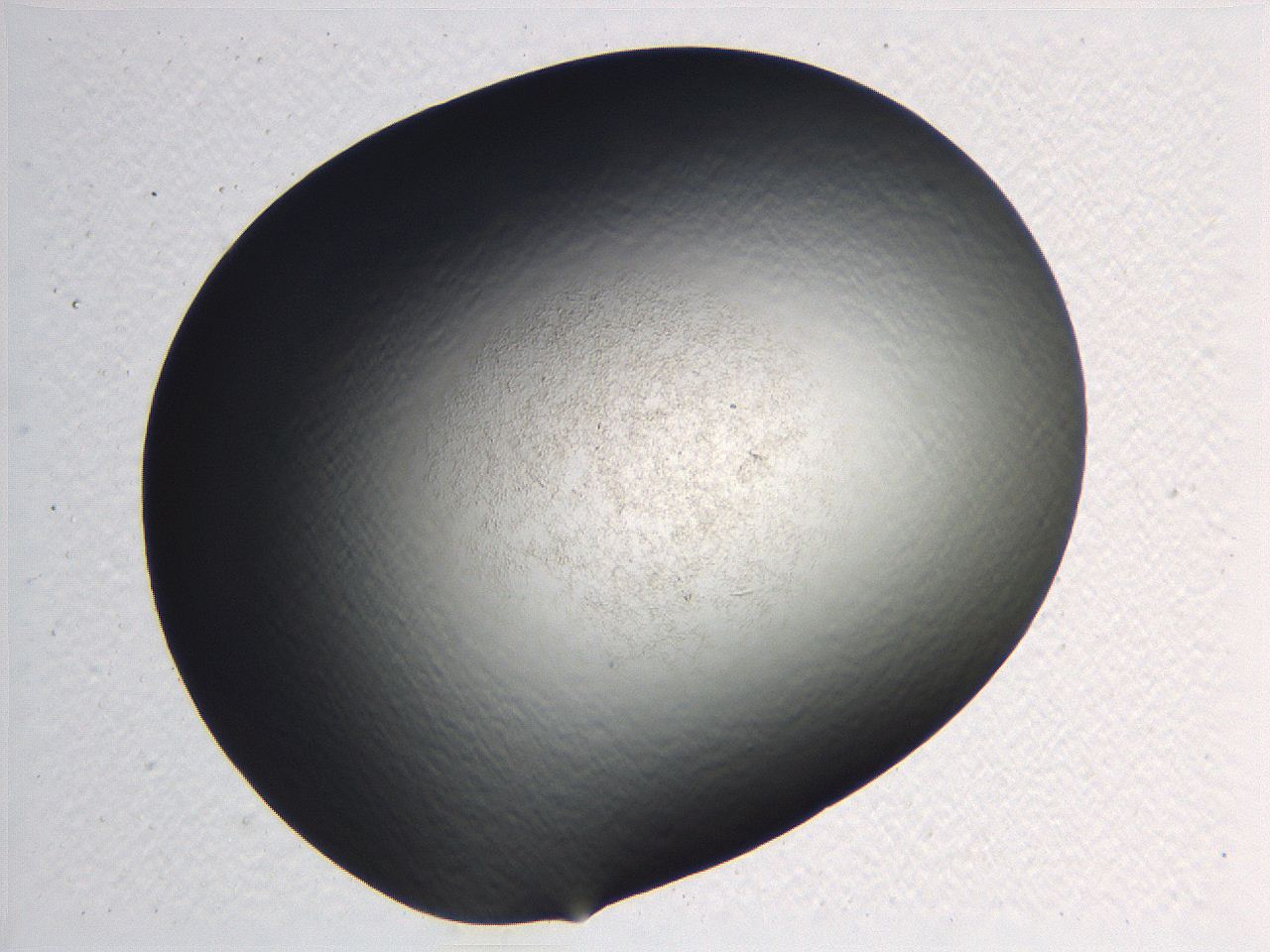 0635_G4_ImagerDefaults_0.jpg