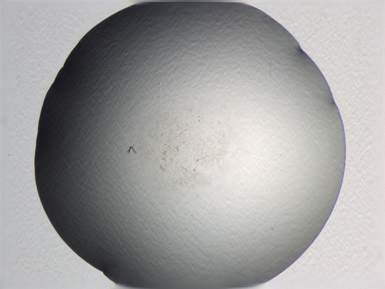 0635_G5_ImagerDefaults_0.jpg