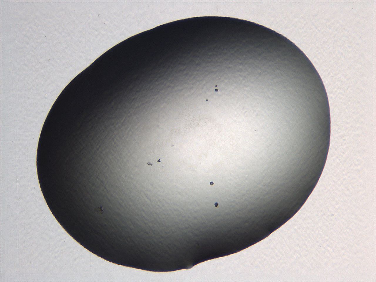 0635_G6_ImagerDefaults_0.jpg