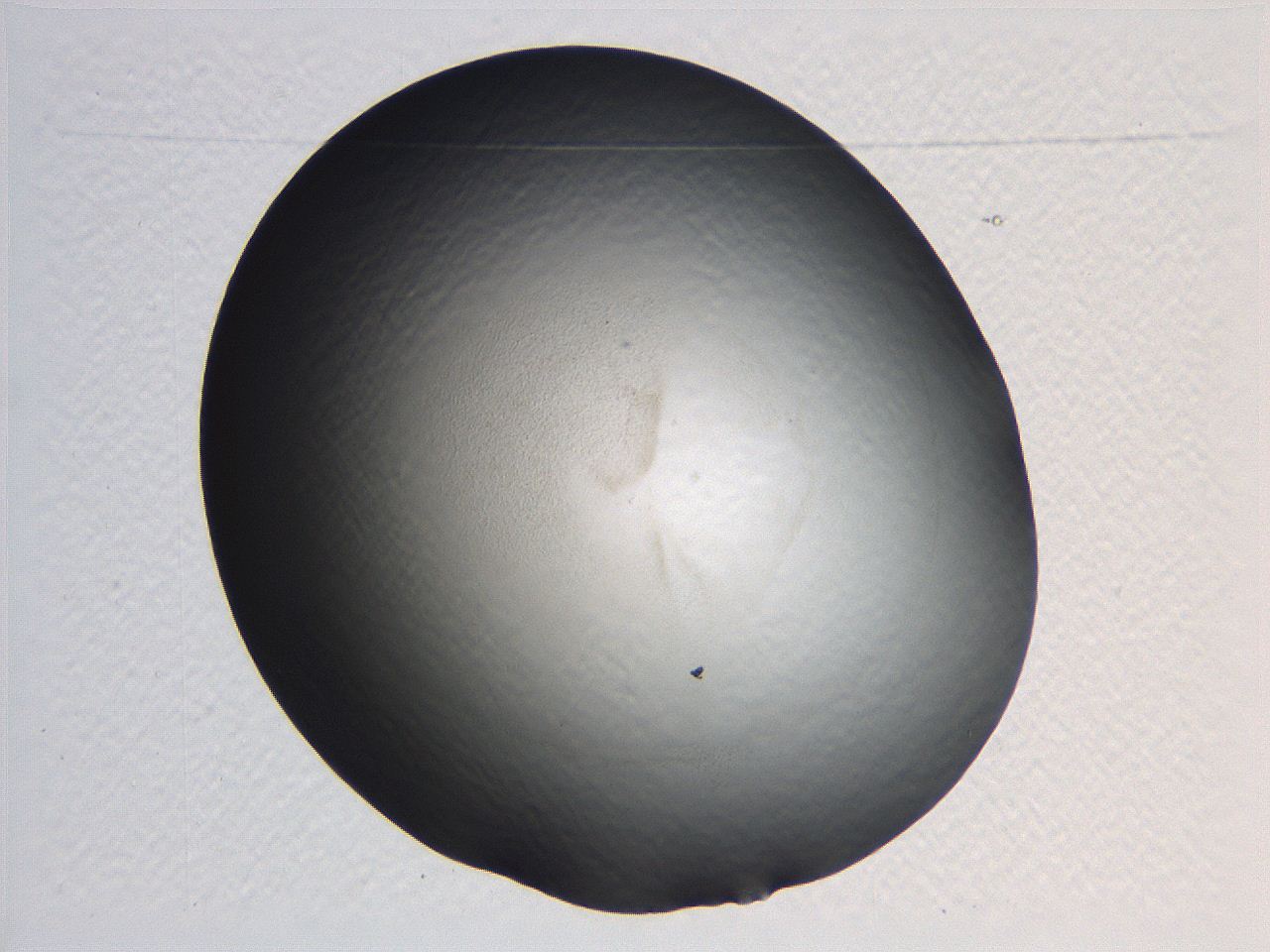 0635_G7_ImagerDefaults_0.jpg