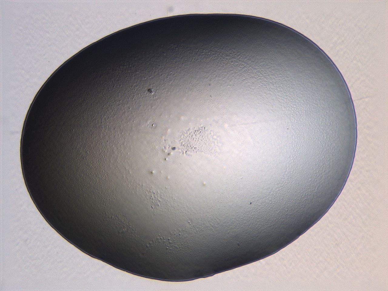 0635_G8_ImagerDefaults_0.jpg