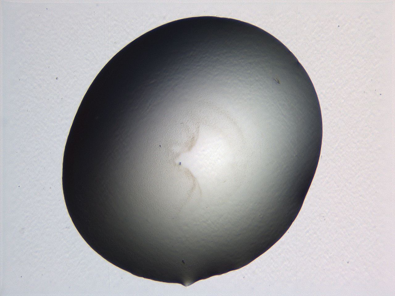 0635_G9_ImagerDefaults_0.jpg
