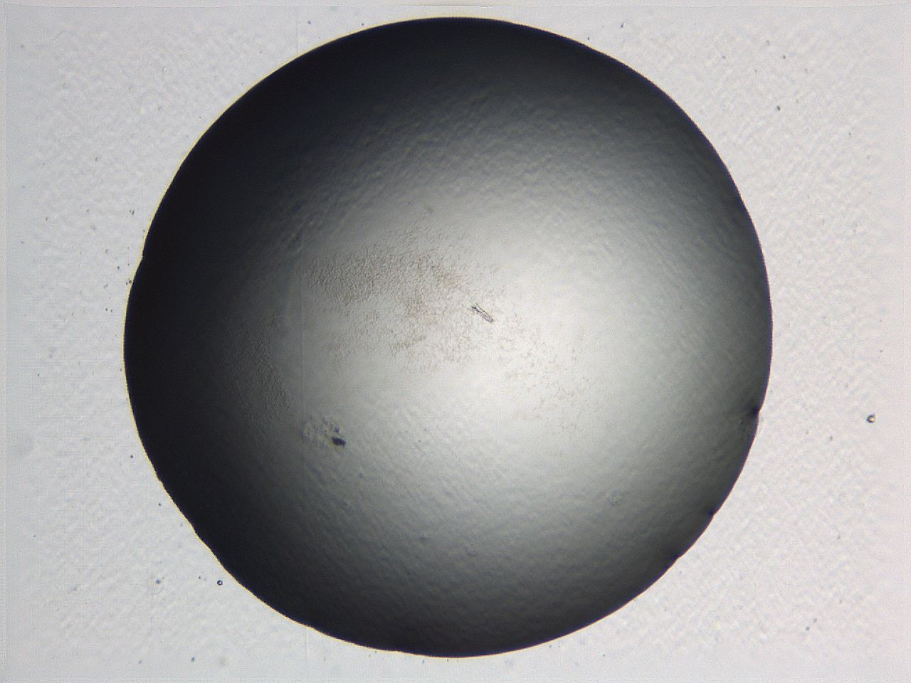 0635_G10_ImagerDefaults_0.jpg
