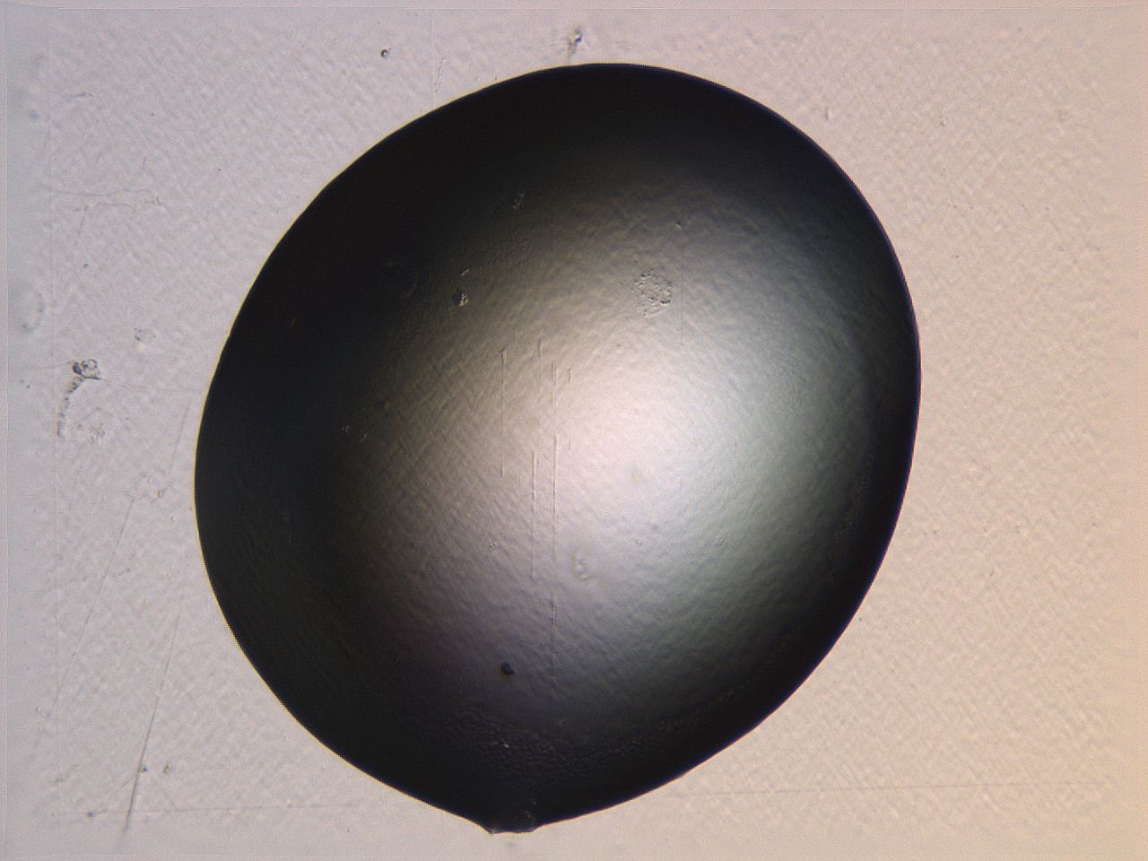 0635_G12_ImagerDefaults_0.jpg