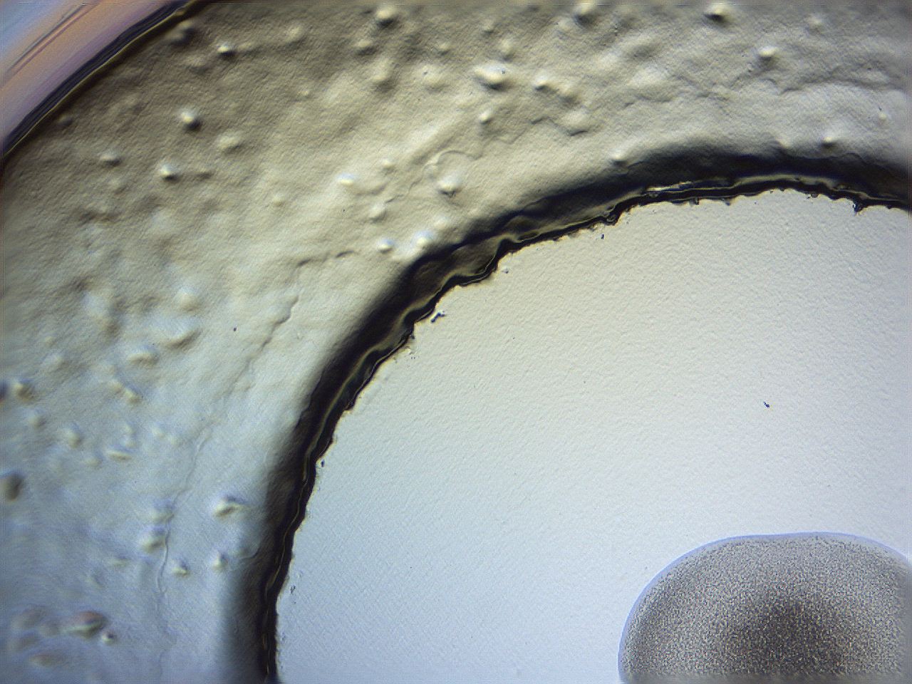 0635_H4_ImagerDefaults_3.jpg