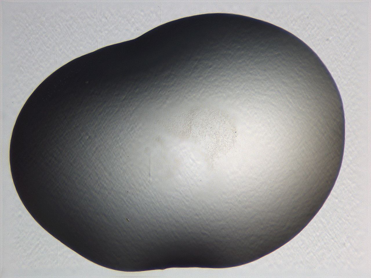 0635_H6_ImagerDefaults_0.jpg