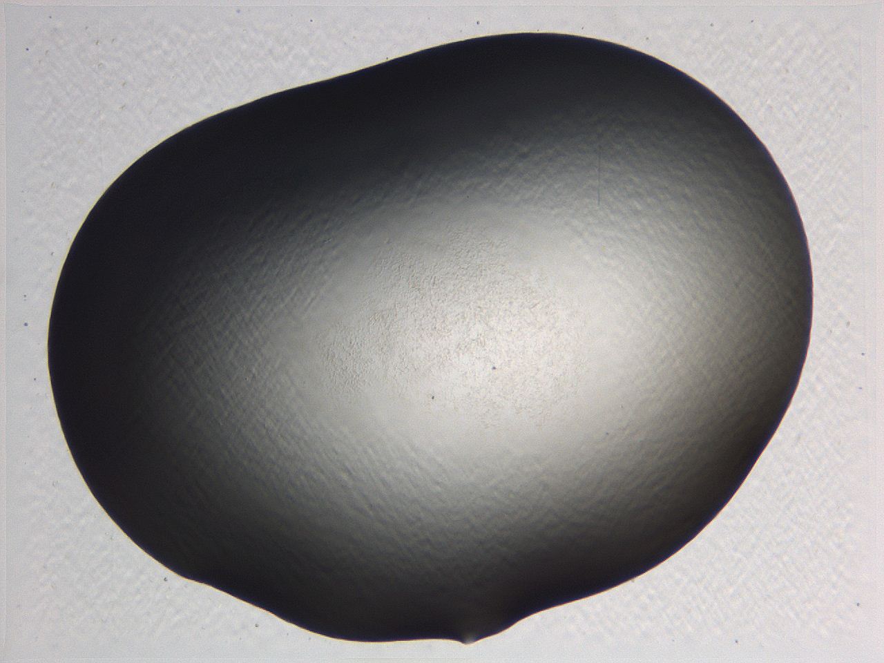 0635_H7_ImagerDefaults_0.jpg