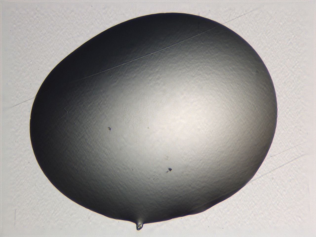 0635_H8_ImagerDefaults_0.jpg