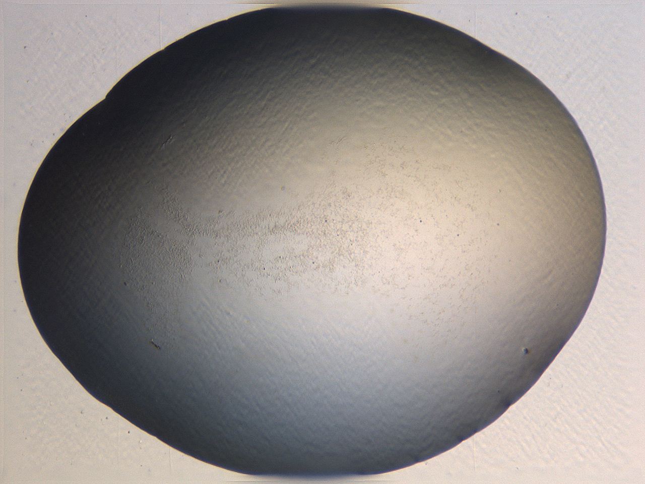 0635_H9_ImagerDefaults_0.jpg