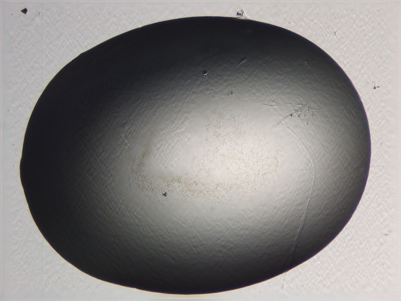 0635_H11_ImagerDefaults_0.jpg