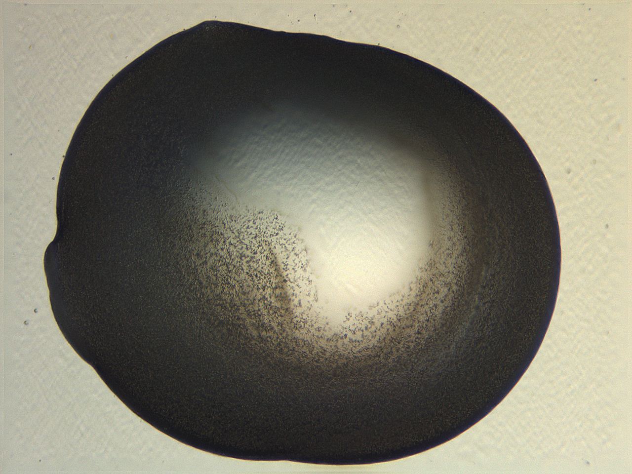 0635_H12_ImagerDefaults_3.jpg