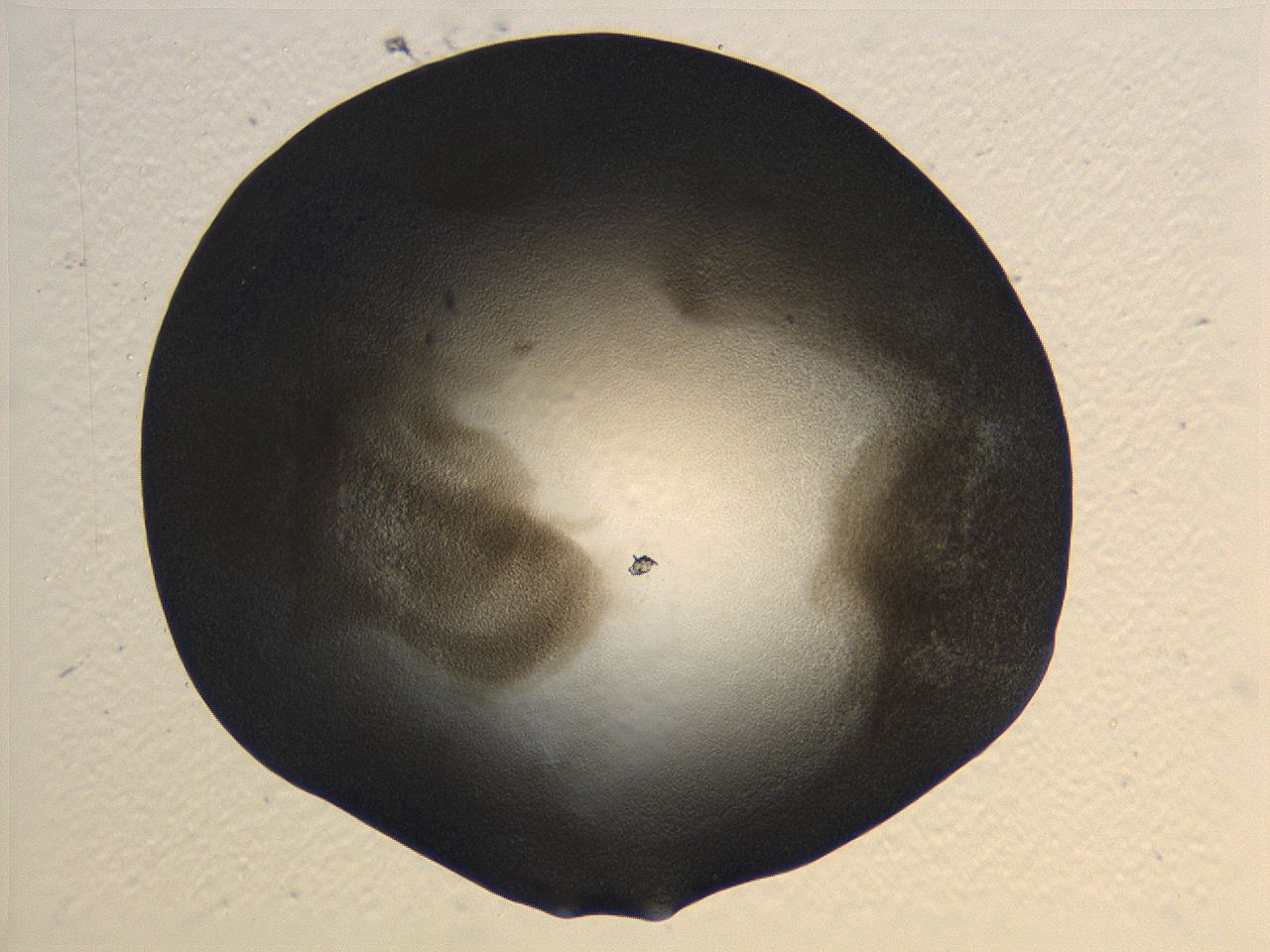 0636_B1_ImagerDefaults_3.jpg