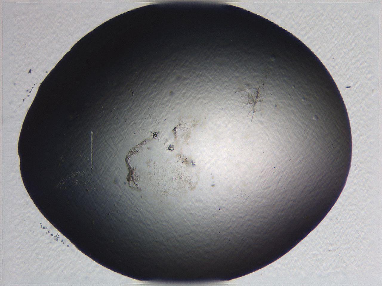 0636_A12_ImagerDefaults_3.jpg