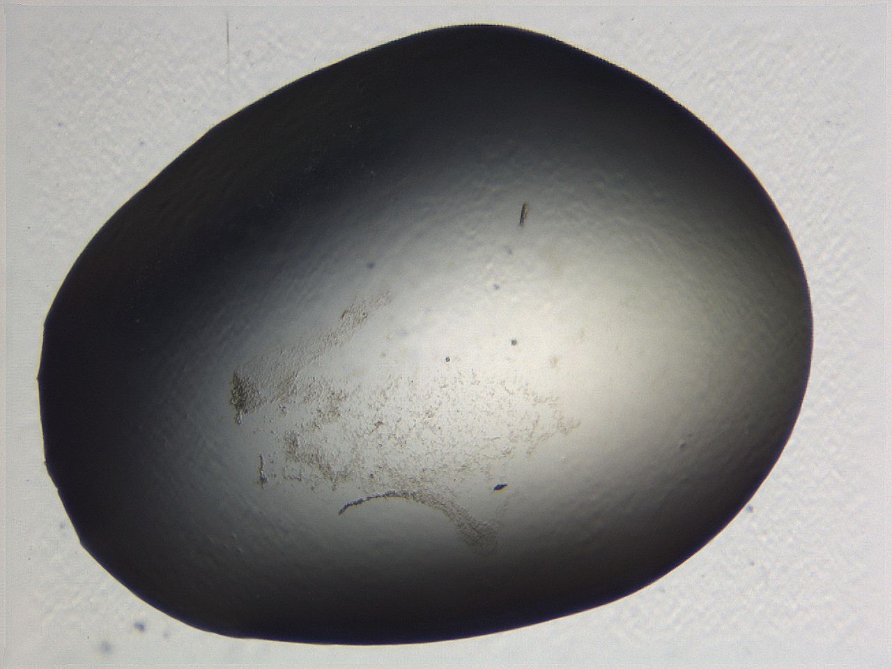0636_A11_ImagerDefaults_3.jpg