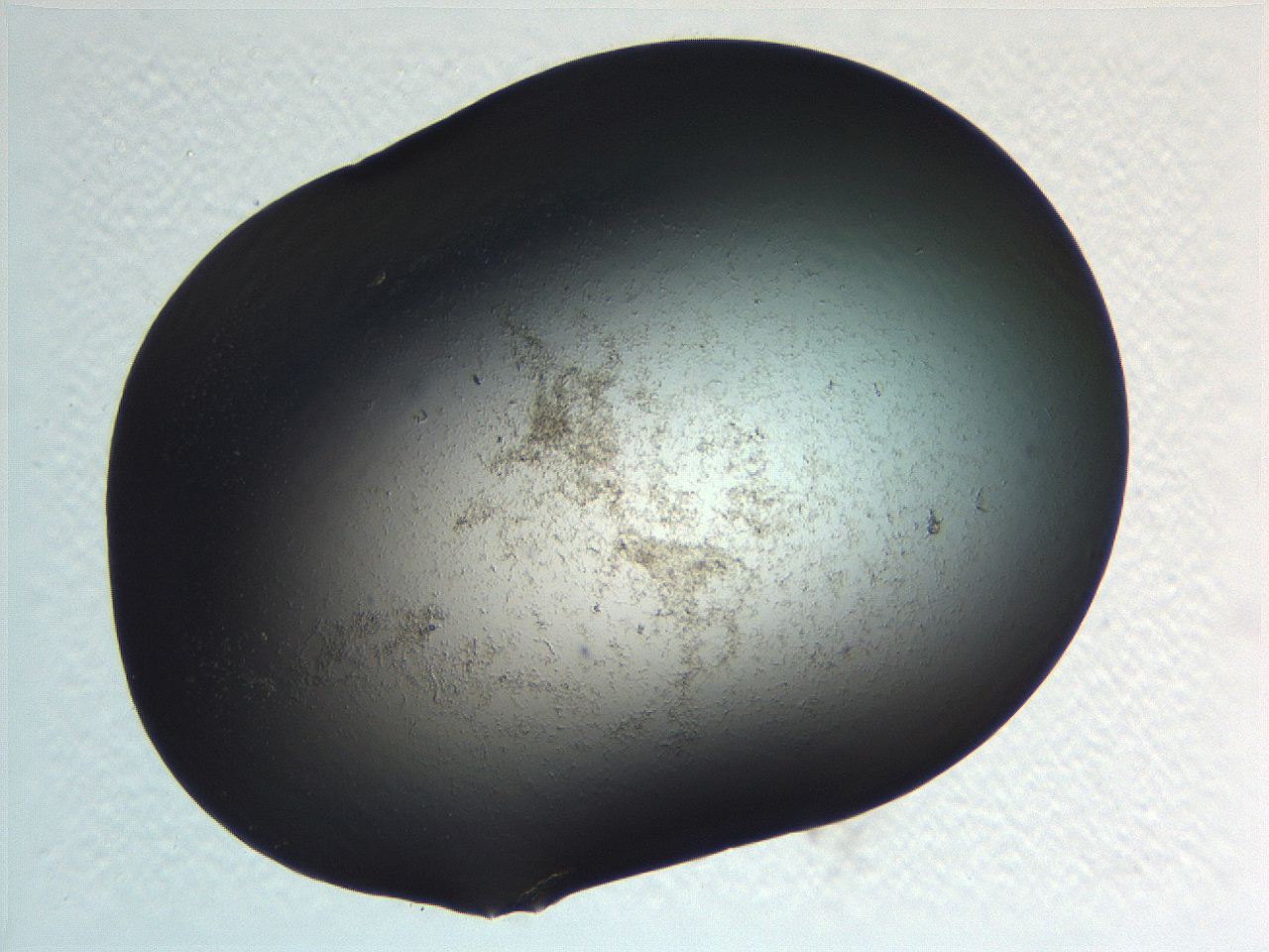 0636_A10_ImagerDefaults_3.jpg