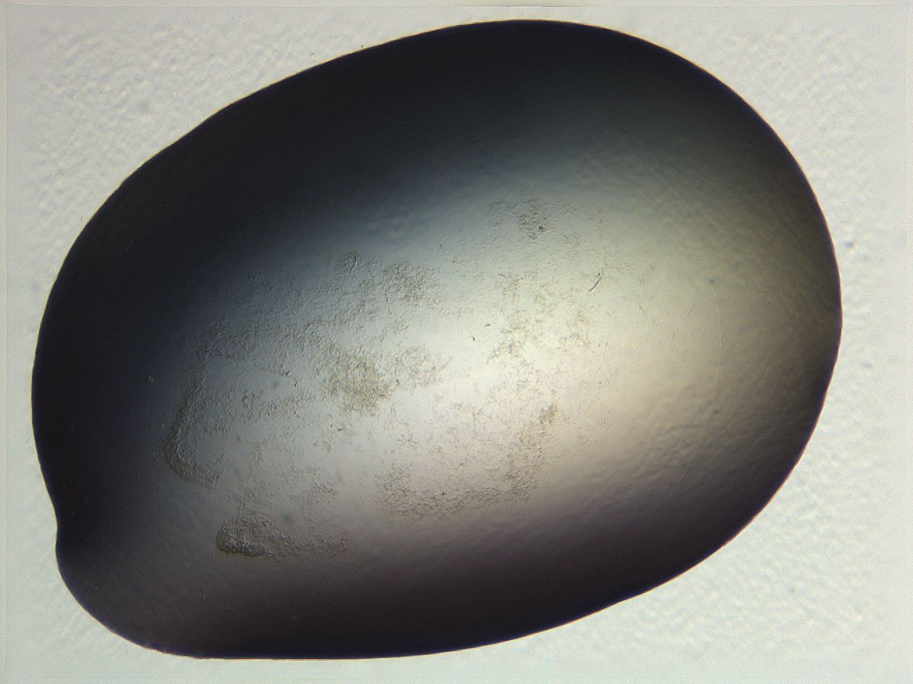 0636_A9_ImagerDefaults_3.jpg