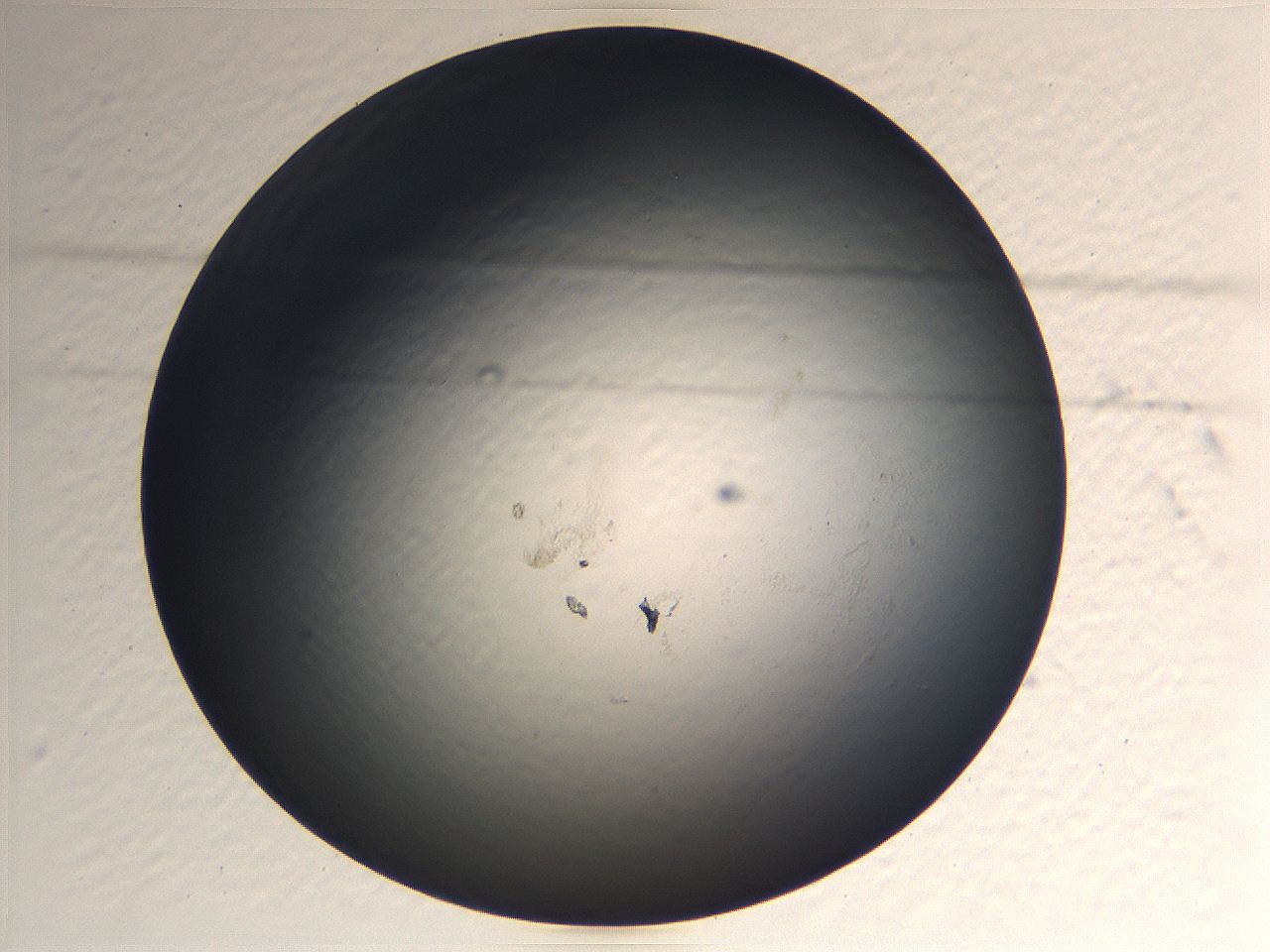 0636_A6_ImagerDefaults_0.jpg