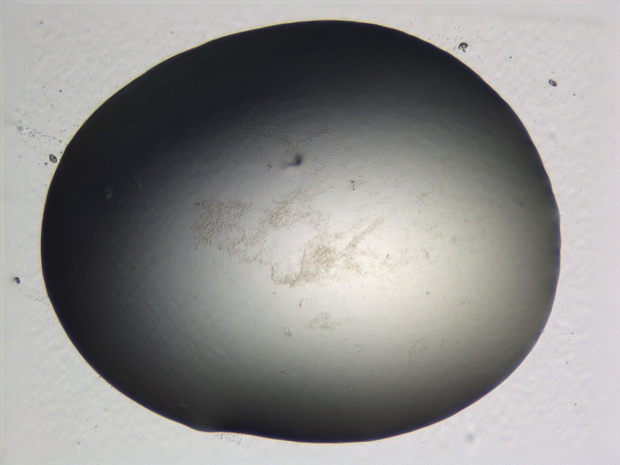 0636_A5_ImagerDefaults_0.jpg