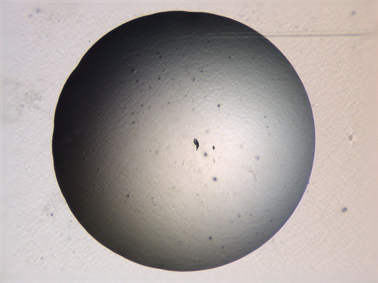 0636_B2_ImagerDefaults_0.jpg