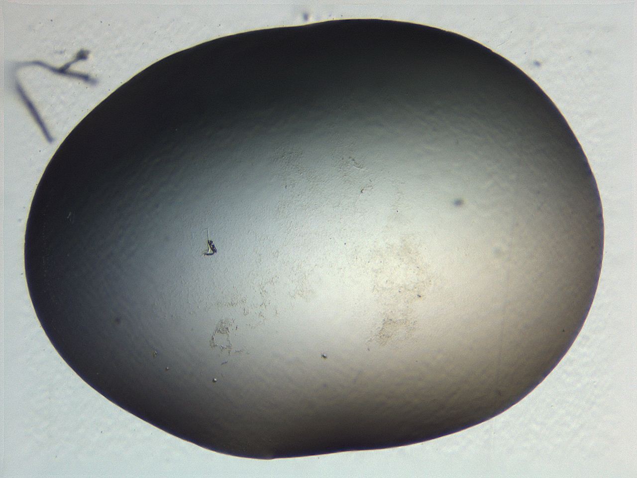 0636_A3_ImagerDefaults_0.jpg