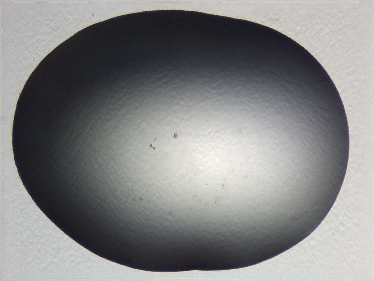 0636_A2_ImagerDefaults_0.jpg