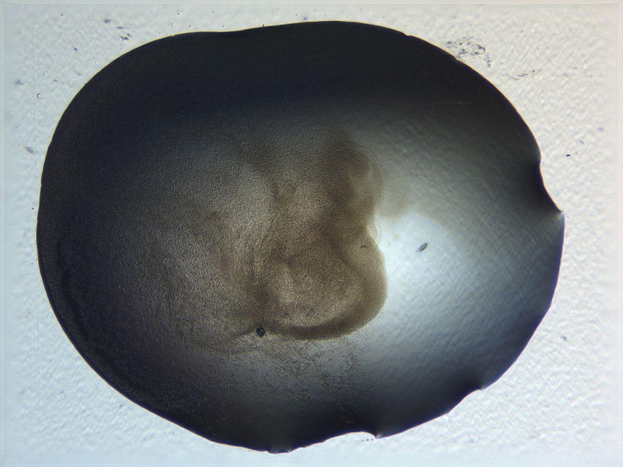 0636_A1_ImagerDefaults_3.jpg