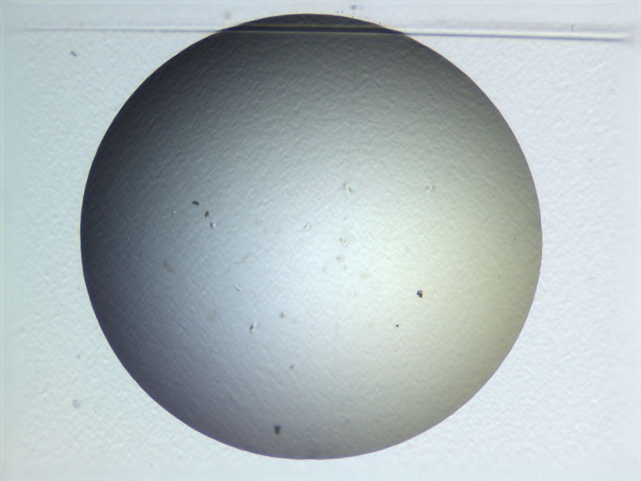 0636_B3_ImagerDefaults_0.jpg