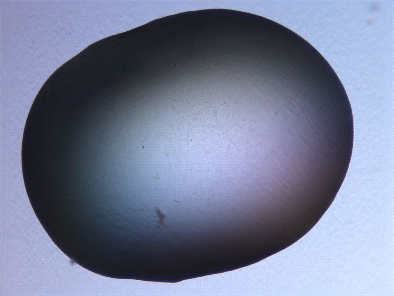0636_B5_ImagerDefaults_0.jpg